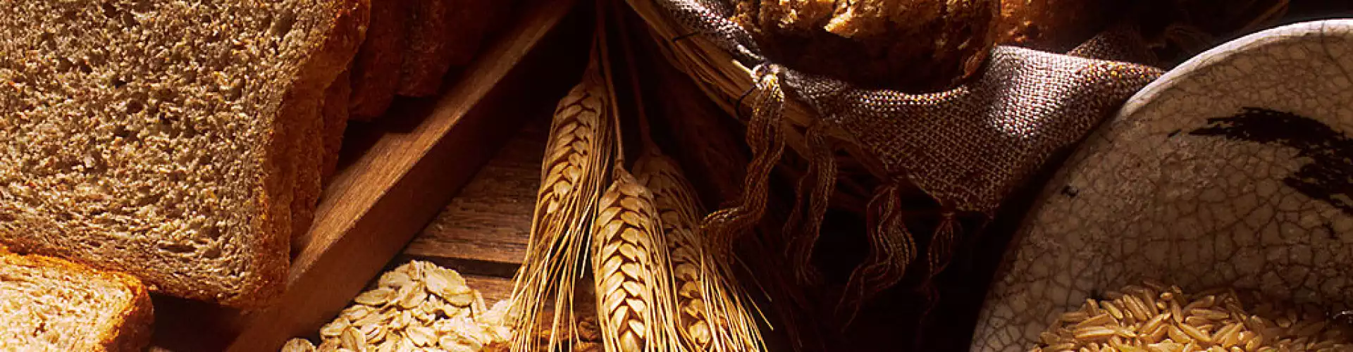 Let's Talk About Grains! - Online Class by Evita Ochel