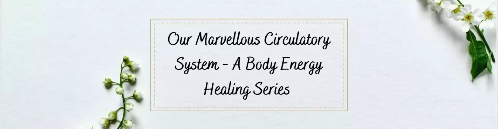 Our Marvellous Circulatory System - A Body Energy Healing Series