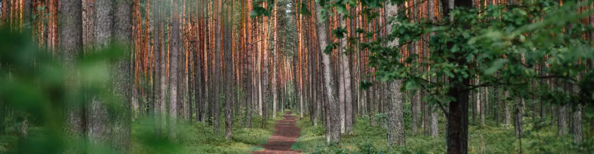 Trouver la clarté sur votre chemin de vie