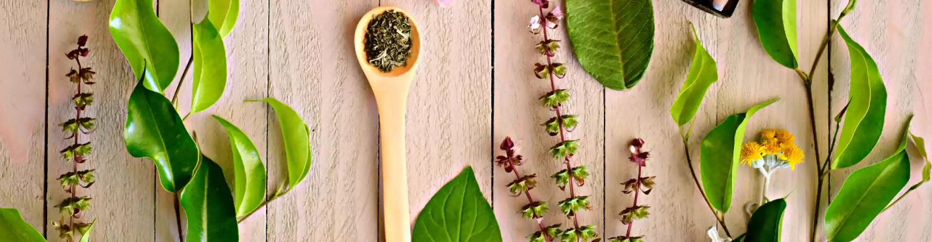 Ayurvedik Herbalism Temelleri