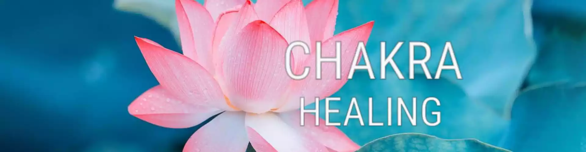 Bundle: Healing your Chakras Series All 8 Classes - Online Course by Learn It Live