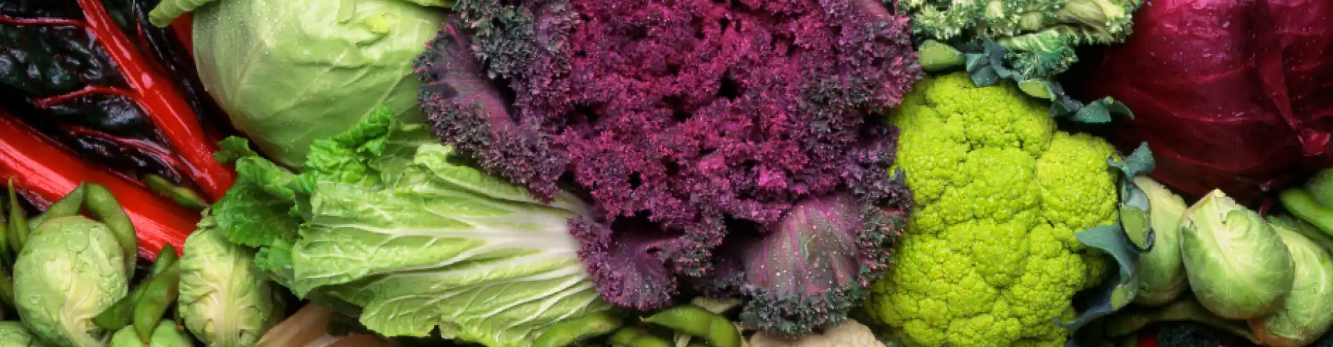 Four Things to Do with Cruciferous Vegetables - New material! Update for 2025! - Online Class by Lisa Boesen